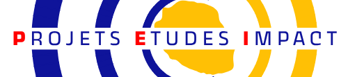 Association Projets et Etudes à Impact